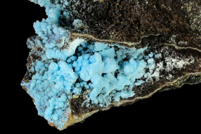 Vibrant Blue, Botryoidal Gibbsite - China #147663